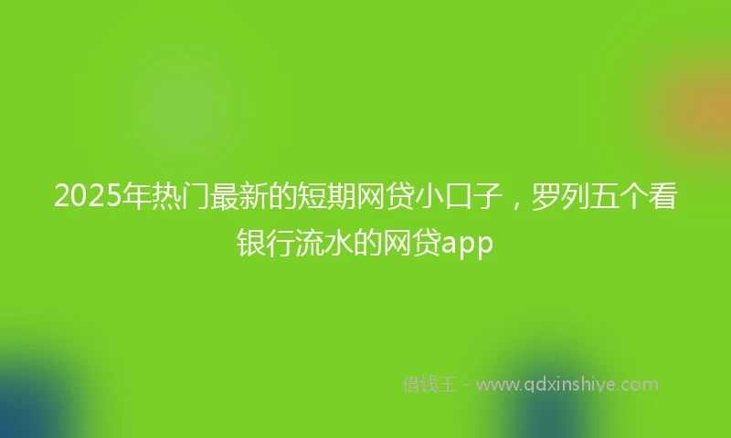 2025年热门最新的短期网贷小口子，罗列五个看银行流水的网贷app