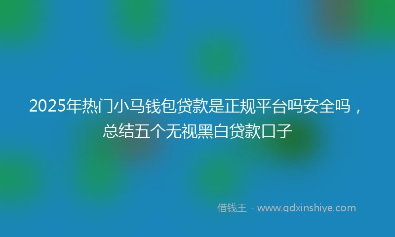 2025年热门小马钱包贷款是正规平台吗安全吗，总结五个无视黑白贷款口子