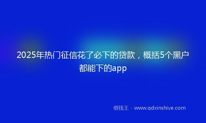 2025年热门征信花了必下的贷款，概括5个黑户都能下的app