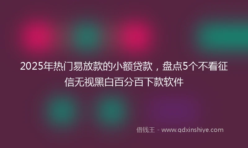 2025年热门易放款的小额贷款，盘点5个不看征信无视黑白百分百下款软件