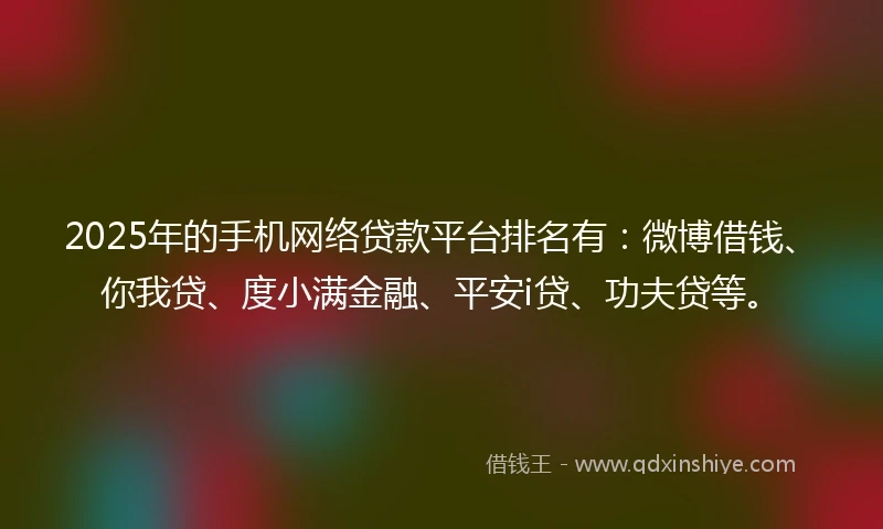 2025年的手机网络贷款平台排名有：微博借钱、你我贷、度小满金融、平安i贷、功夫贷等。
