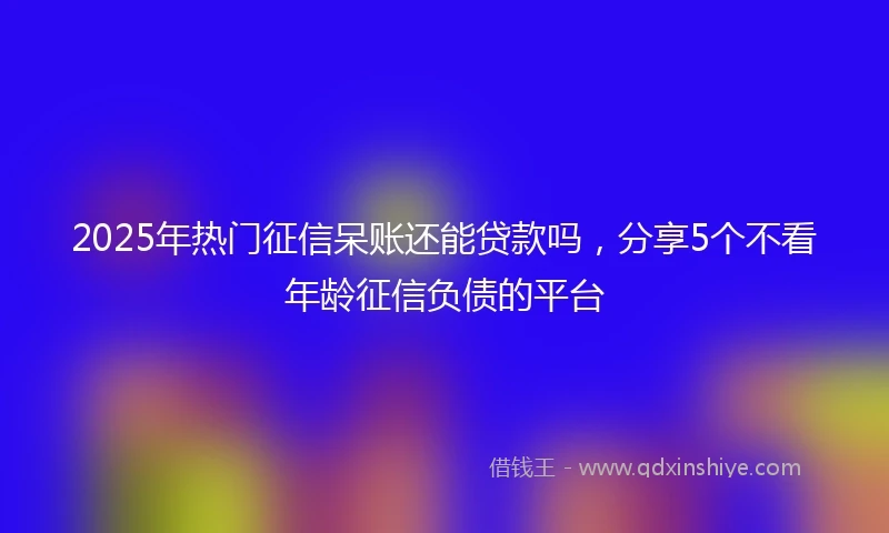 2025年热门征信呆账还能贷款吗，分享5个不看年龄征信负债的平台