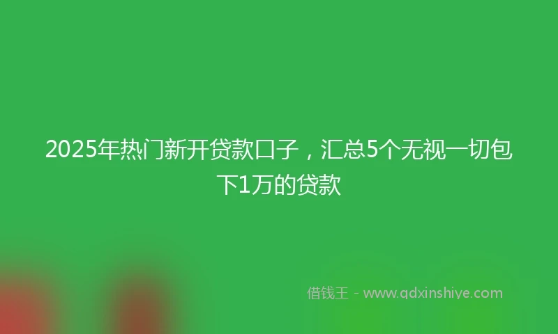 2025年热门新开贷款口子，汇总5个无视一切包下1万的贷款