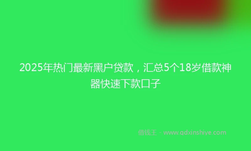 2025年热门最新黑户贷款，汇总5个18岁借款神器快速下款口子