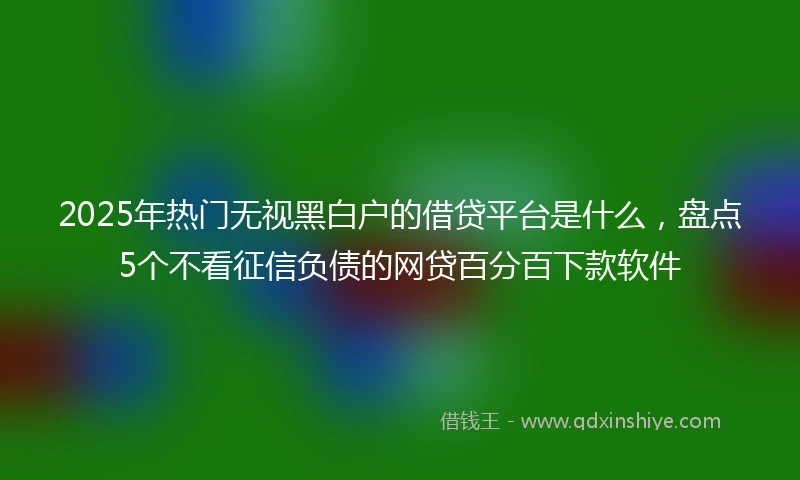 2025年热门无视黑白户的借贷平台是什么，盘点5个不看征信负债的网贷百分百下款软件