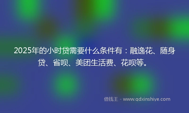 2025年的小时贷需要什么条件有：融逸花、随身贷、省呗、美团生活费、花呗等。