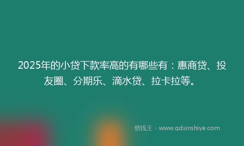 2025年的小贷下款率高的有哪些有：惠商贷、投友圈、分期乐、滴水贷、拉卡拉等。