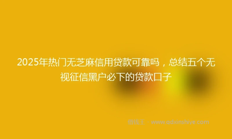 2025年热门无芝麻信用贷款可靠吗，总结五个无视征信黑户必下的贷款口子