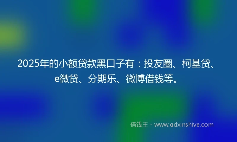 2025年的小额贷款黑口子有：投友圈、柯基贷、e微贷、分期乐、微博借钱等。