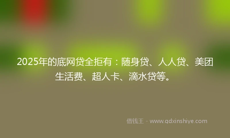 2025年的底网贷全拒有：随身贷、人人贷、美团生活费、超人卡、滴水贷等。