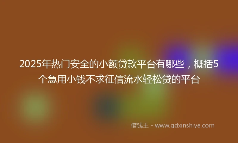 2025年热门安全的小额贷款平台有哪些，概括5个急用小钱不求征信流水轻松贷的平台