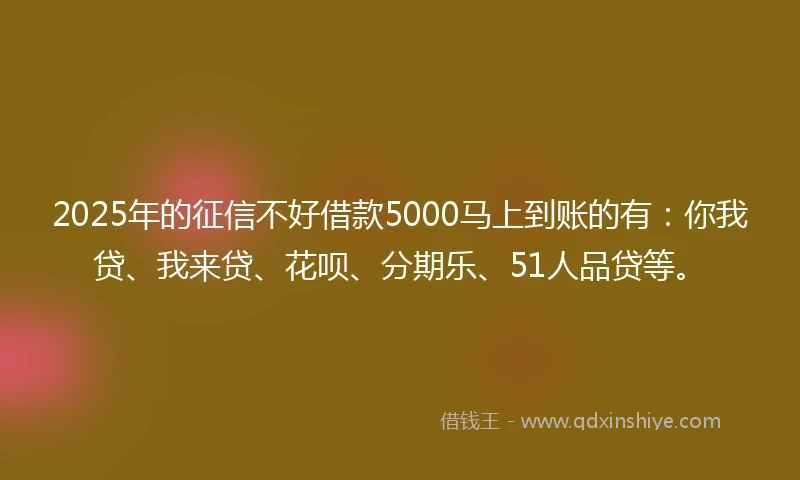 2025年的征信不好借款5000马上到账的有：你我贷、我来贷、花呗、分期乐、51人品贷等。