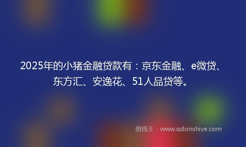 2025年的小猪金融贷款有：京东金融、e微贷、东方汇、安逸花、51人品贷等。