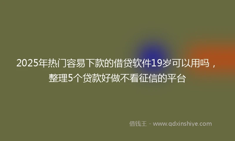 2025年热门容易下款的借贷软件19岁可以用吗，整理5个贷款好做不看征信的平台