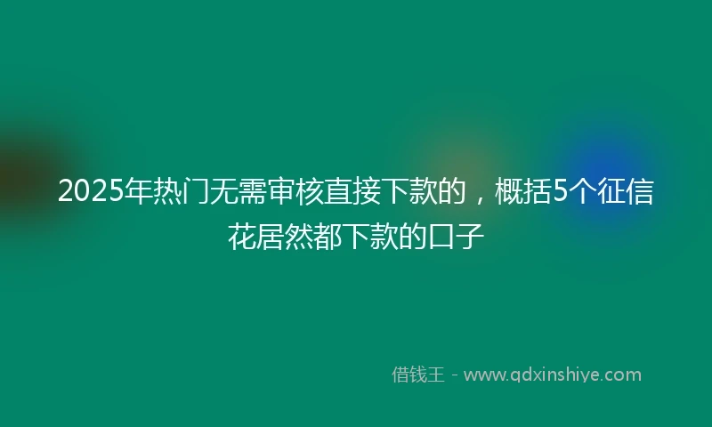 2025年热门无需审核直接下款的，概括5个征信花居然都下款的口子
