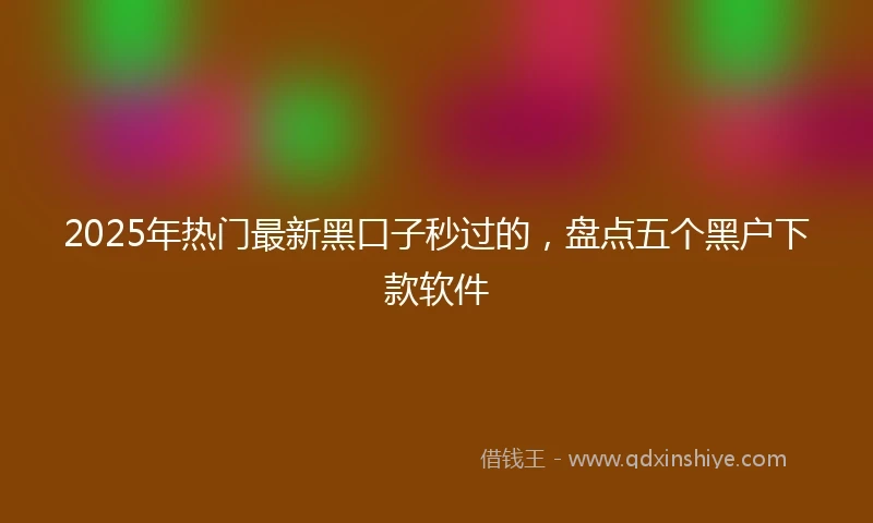 2025年热门最新黑口子秒过的，盘点五个黑户下款软件