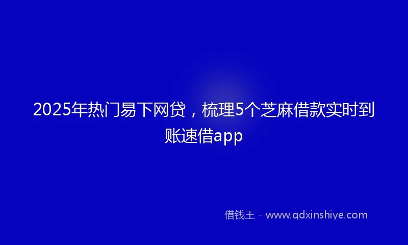 2025年热门易下网贷，梳理5个芝麻借款实时到账速借app