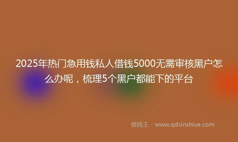 2025年热门急用钱私人借钱5000无需审核黑户怎么办呢，梳理5个黑户都能下的平台