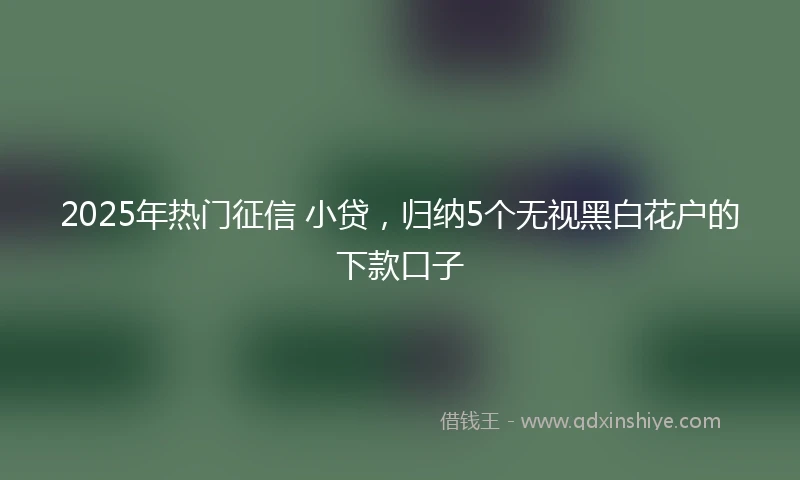 2025年热门征信 小贷，归纳5个无视黑白花户的下款口子