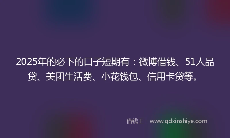 2025年的必下的口子短期有：微博借钱、51人品贷、美团生活费、小花钱包、信用卡贷等。