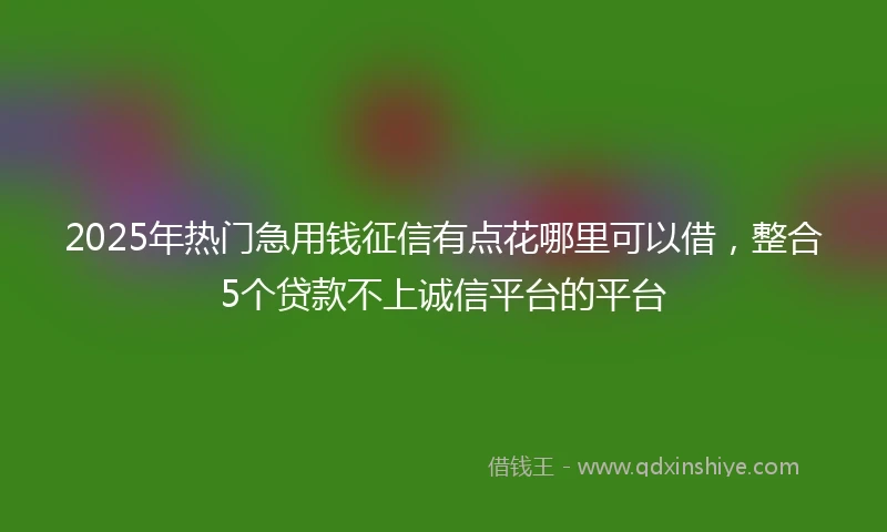 2025年热门急用钱征信有点花哪里可以借，整合5个贷款不上诚信平台的平台