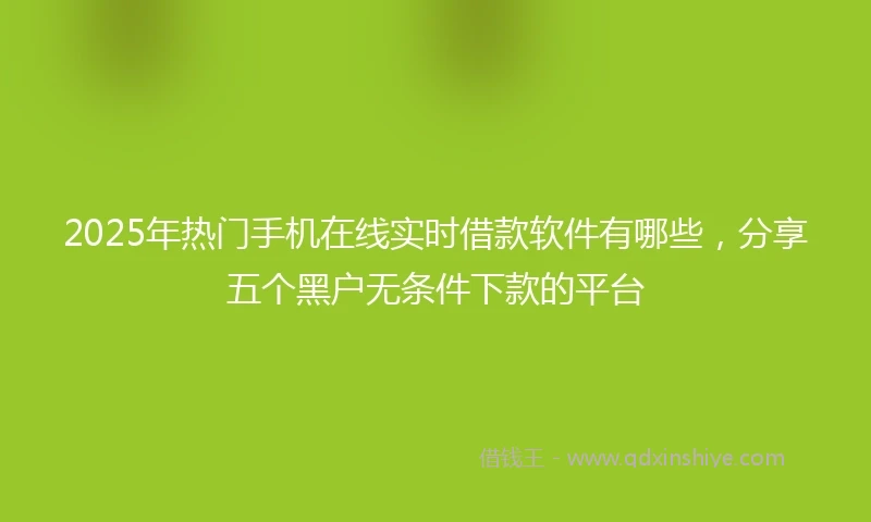 2025年热门手机在线实时借款软件有哪些，分享五个黑户无条件下款的平台