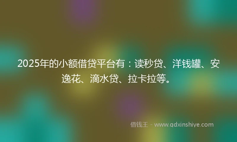 2025年的小额借贷平台有：读秒贷、洋钱罐、安逸花、滴水贷、拉卡拉等。