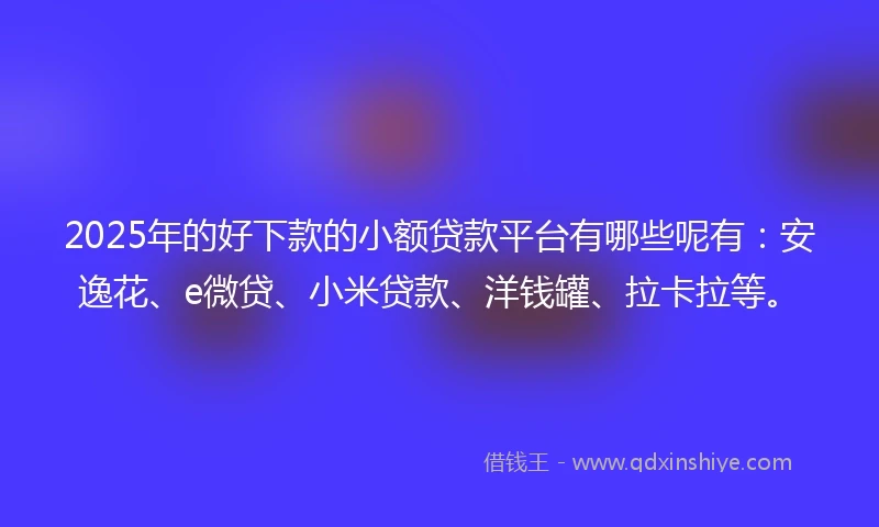 2025年的好下款的小额贷款平台有哪些呢有：安逸花、e微贷、小米贷款、洋钱罐、拉卡拉等。