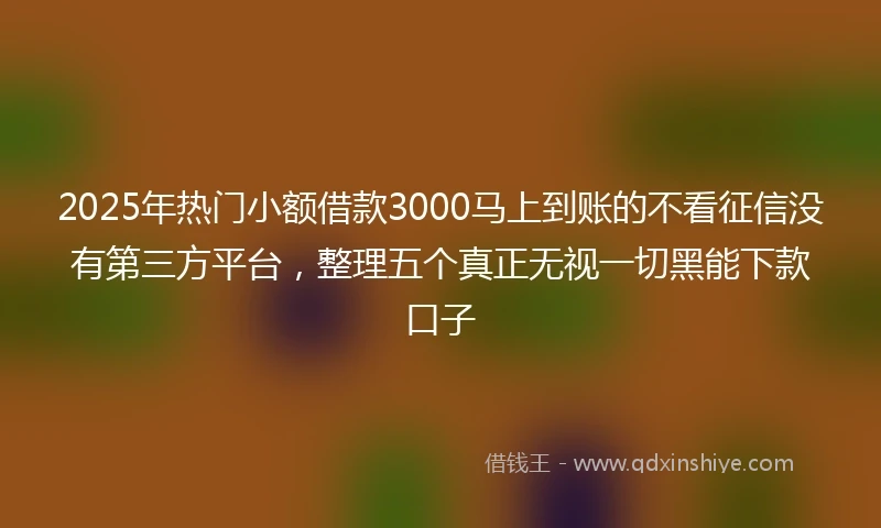 2025年热门小额借款3000马上到账的不看征信没有第三方平台，整理五个真正无视一切黑能下款口子