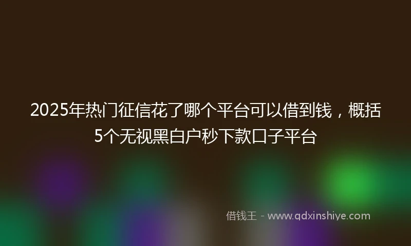 2025年热门征信花了哪个平台可以借到钱，概括5个无视黑白户秒下款口子平台