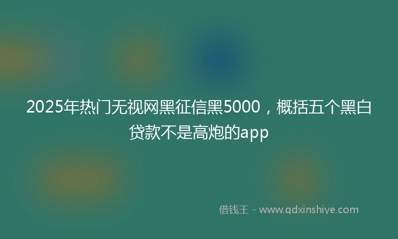 2025年热门无视网黑征信黑5000，概括五个黑白贷款不是高炮的app