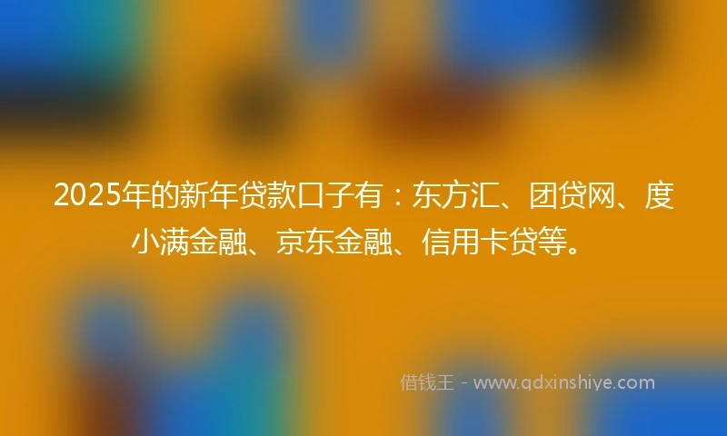 2025年的新年贷款口子有：东方汇、团贷网、度小满金融、京东金融、信用卡贷等。