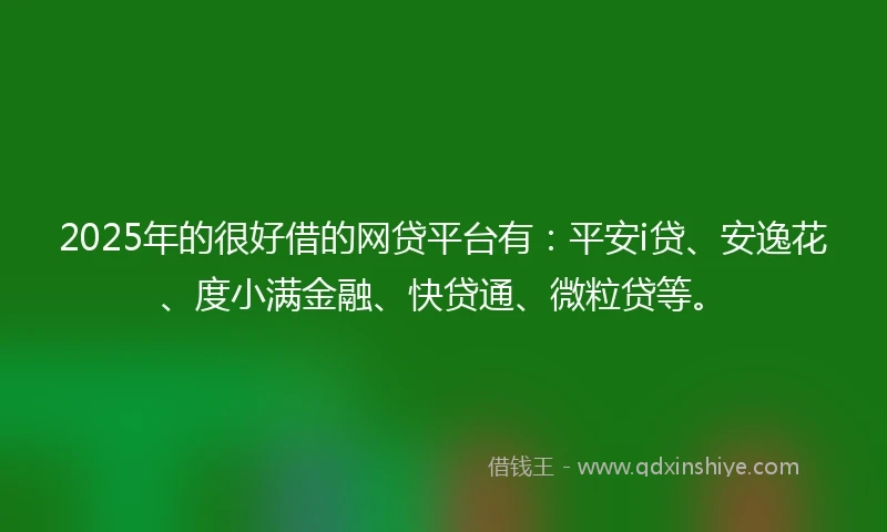 2025年的很好借的网贷平台有：平安i贷、安逸花、度小满金融、快贷通、微粒贷等。
