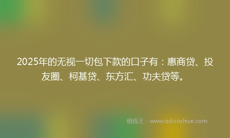 2025年的无视一切包下款的口子有：惠商贷、投友圈、柯基贷、东方汇、功夫贷等。