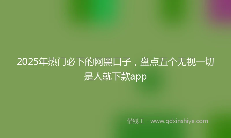 2025年热门必下的网黑口子，盘点五个无视一切是人就下款app