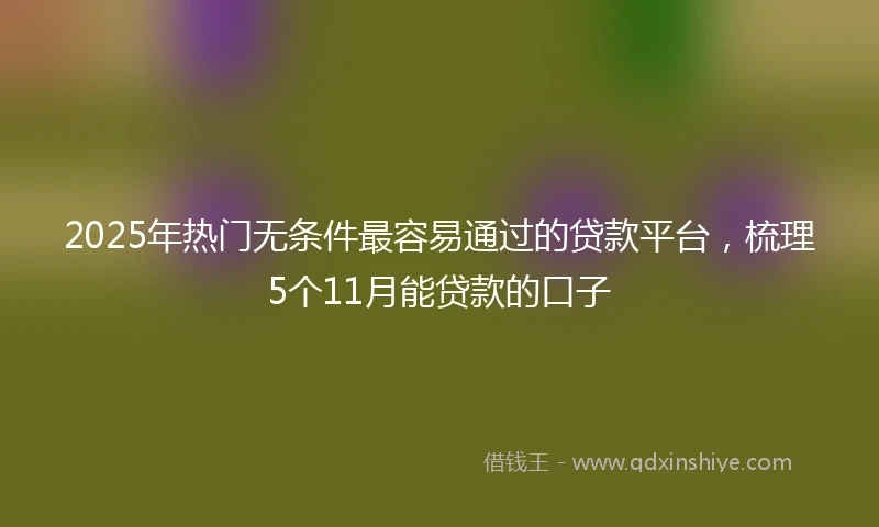 2025年热门无条件最容易通过的贷款平台，梳理5个11月能贷款的口子