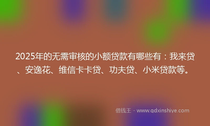 2025年的无需审核的小额贷款有哪些有：我来贷、安逸花、维信卡卡贷、功夫贷、小米贷款等。