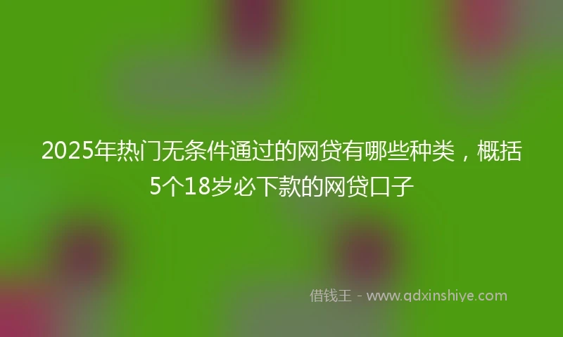 2025年热门无条件通过的网贷有哪些种类，概括5个18岁必下款的网贷口子