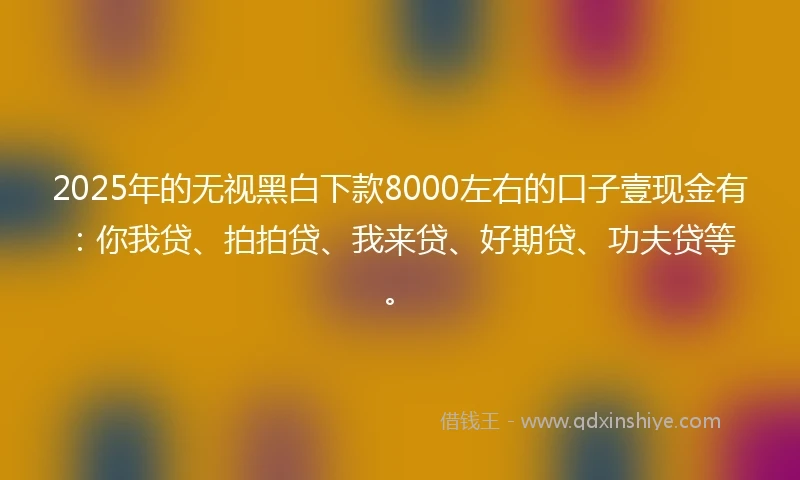 2025年的无视黑白下款8000左右的口子壹现金有：你我贷、拍拍贷、我来贷、好期贷、功夫贷等。
