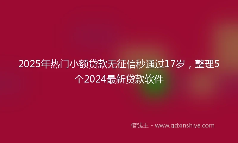 2025年热门小额贷款无征信秒通过17岁，整理5个2024最新贷款软件