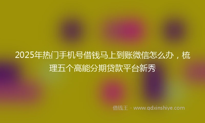 2025年热门手机号借钱马上到账微信怎么办，梳理五个高能分期贷款平台新秀