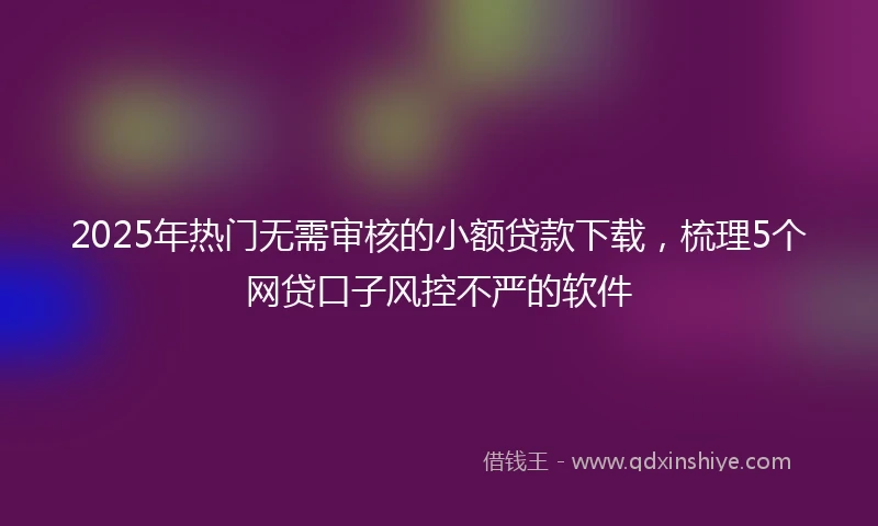 2025年热门无需审核的小额贷款下载，梳理5个网贷口子风控不严的软件