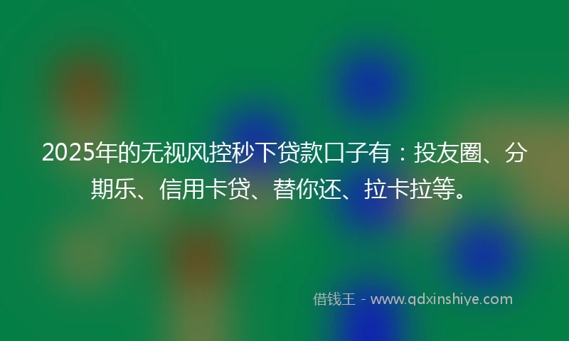 2025年的无视风控秒下贷款口子有：投友圈、分期乐、信用卡贷、替你还、拉卡拉等。
