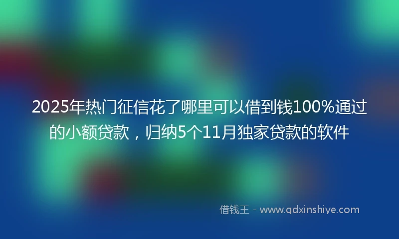 2025年热门征信花了哪里可以借到钱100%通过的小额贷款，归纳5个11月独家贷款的软件
