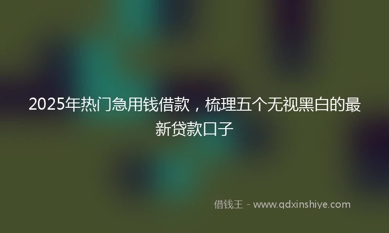 2025年热门急用钱借款,梳理五个无视黑白的最新贷款口子