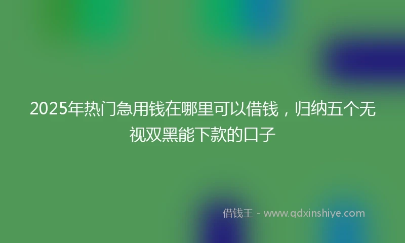 2025年热门急用钱在哪里可以借钱，归纳五个无视双黑能下款的口子