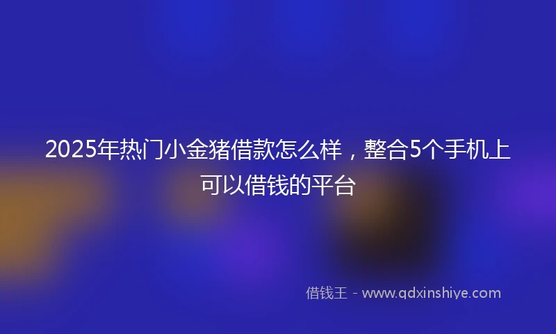 2025年热门小金猪借款怎么样，整合5个手机上可以借钱的平台