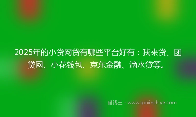 2025年的小贷网贷有哪些平台好有：我来贷、团贷网、小花钱包、京东金融、滴水贷等。