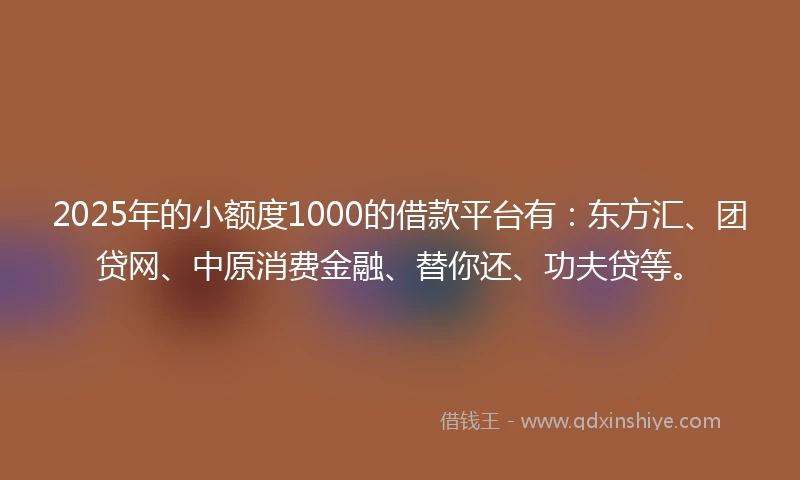 2025年的小额度1000的借款平台有：东方汇、团贷网、中原消费金融、替你还、功夫贷等。