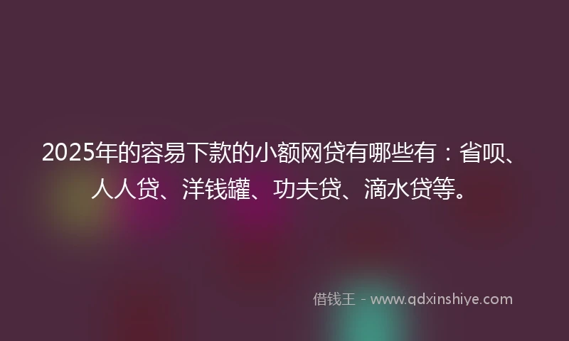 2025年的容易下款的小额网贷有哪些有：省呗、人人贷、洋钱罐、功夫贷、滴水贷等。